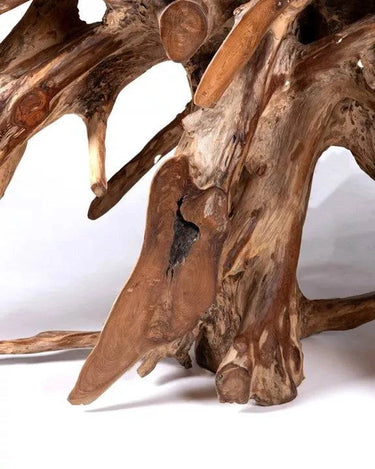 Console gigante Root in legno massello decorativo Padar di teak naturale, fatta a mano