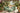 Poltrona lounge da esterno NOMAD 100×80×75 – Sunbrella Heritage Moss