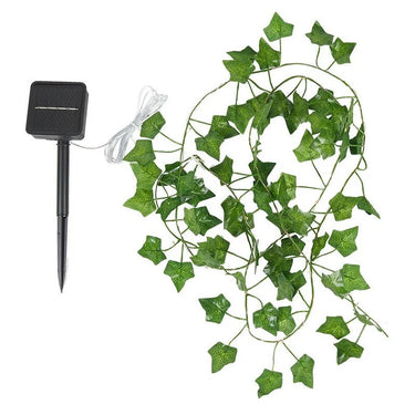 Luci a stringa solari Ivy