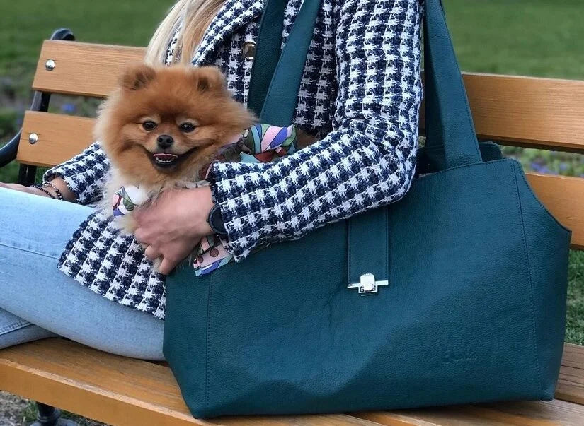 BORSA PER CANI in tanti bellissimi colori