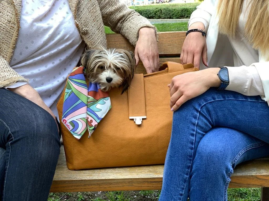 BORSA PER CANI in tanti bellissimi colori