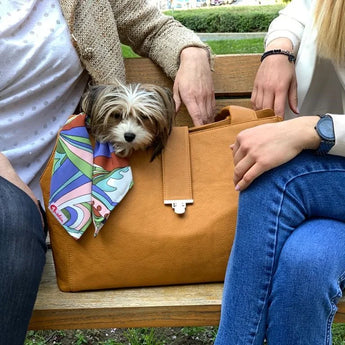 BORSA PER CANI in tanti bellissimi colori